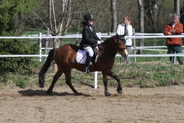 Bild 498 - WBO-Turnier am 9.4.11